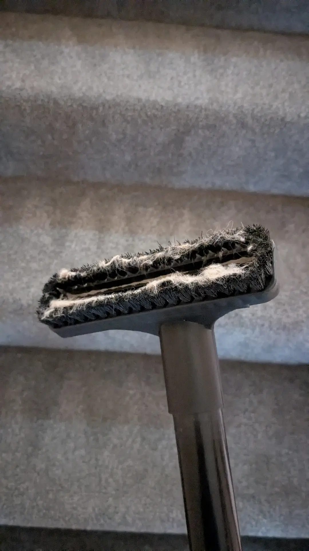 Cleaning Castles In Action